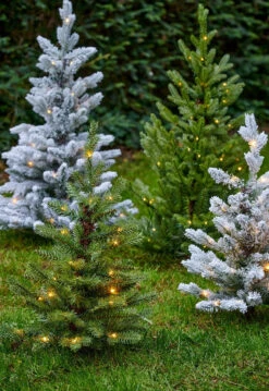 Allison Pottable Snowy Tree Micro Warm White LED