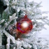 5" Red Iridescent Bottle Glass Ball Ornament
