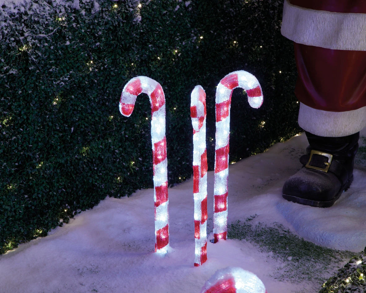2 FT 90 LED Cool White Candy Canes Set Of 3 3 2 FT 90 LED Cool White Candy Canes Set Of 3 - Image 3