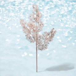 28" Pink Glittered Coral Reef Pick Set Of 6