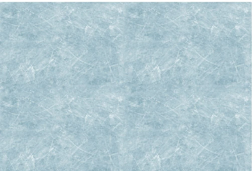 12" X 8" Ice Sheet Set Of 4 1 12" X 8" Ice Sheet Set Of 4