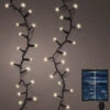 74 FT 1000 LED Warm White Solar Compact Lights With Black Wire