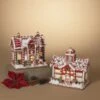 9.5" LED Gingerbread House Assorted Set Of 2