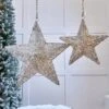 2.3 FT 165 LED Warm White Gold Star